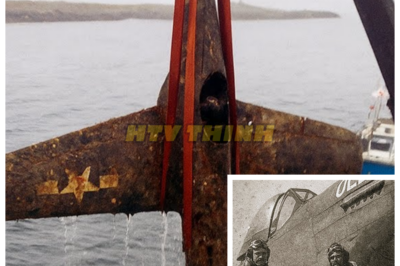 🙊 The Mysterious Disappearance of a WWII Hero: Secrets Beneath the Sea 🌊✈️  This gripping story centers on Captain James Carter, who took off from an airfield in eastern England in March 1944, embarking on what was believed to be a routine patrol over the North Sea. When his P-51 Mustang vanished, the Army Air Forces declared him missing in action, leaving his family with only a cryptic letter stating he died serving his country under classified circumstances. Fifty years later, a Dutch trawler pulls a corroded propeller from the ocean floor, revealing shocking forensic evidence that suggests sabotage rather than an accident. As investigators dig deeper into declassified mission files, they uncover a chilling twist: the man who received a Medal of Honor for that mission was never even on the plane. What dark conspiracy led to Captain Carter’s disappearance, and why has the truth remained buried for so long? THE FULL STORY 👇