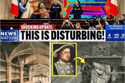 Archaeologists Just Opened King Henry VIII’s Sealed Tomb — What They Found Shocked Everyone