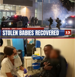 FBI Raids California Surrogacy Clinic — 89 Babies Stolen and Sold, 23 Surrogate Mothers Rescued