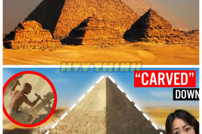 🙊 Unraveling the Pyramids: A Dark Secret Beneath the Stone? 🔍⚡  In a world where history is rewritten, a groundbreaking theory emerges: the pyramids were not built but rather “unbuilt.” As a team of architects and historians races against time to uncover the truth behind this shocking revelation, they delve into ancient techniques that defy logic and challenge everything we know about construction. With the clock ticking, they face the haunting implications of their discoveries, revealing a hidden narrative that could change the course of archaeology forever. What dark secrets lie beneath the Giza Plateau, and will they uncover a truth that humanity is not ready to face? 👇