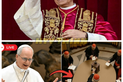 🙊 A Secret Vote to Replace the Pope: Every Ballot Signed in Blood? 🔍⚡  In a world where faith and power collide, a shocking revelation emerges: a clandestine vote to replace the Pope has taken place, yet every ballot carries his unmistakable signature. As whispers of betrayal echo through the Vatican’s hallowed halls, a weary congregation grapples with spiritual fatigue and the haunting silence of unanswered prayers. With time running out and the threat of chaos looming, believers must confront their deepest fears and doubts as they seek a divine awakening. Will they reclaim their faith, or will the secrets buried within the church lead them to an unimaginable darkness? 👇