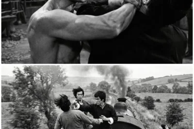 Bruce Lee Deadly Fight On Moving Train Roof 80 MPH 4 Killers Attacked 1971 — 3 Died Trying