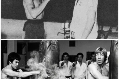 Bruce Lee Was Double Speed Chuck Norris 15 vs 8 Punches In 5 Seconds — Chuck Shocked 1969