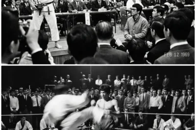 He Didn’t Know It Was Bruce Lee — The Champion Challenged a Random Person in the Audience