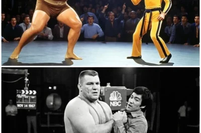 A 350 Pound Wrestler Grabbed Bruce Lee’s Collar on Live TV — Producers Cut the Feed