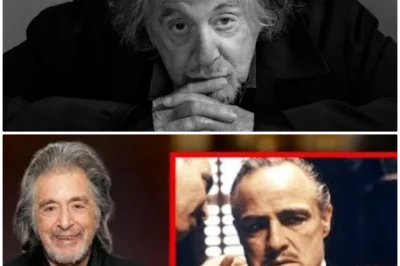 “Behind the Scenes of The Godfather: Al Pacino Reveals Marlon Brando’s Darkest Secrets!” Hold onto your seats, folks! Al Pacino has finally spoken out about his infamous co-star Marlon Brando, and what he has to say is nothing short of scandalous. For decades, whispers of a bitter rivalry have circulated, but Pacino’s latest revelations unveil a shocking saga of manipulation, betrayal, and the cutthroat nature of Hollywood. As he recounts the behind-the-scenes drama that unfolded on set, we learn that the real story behind The Godfather is darker than anyone could have imagined. Don’t miss this explosive exposé! 👇