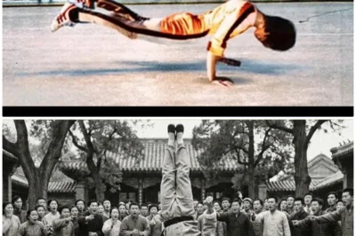 This Bruce Lee video has been BANNED — You’ll understand why when you watch it! WARNING