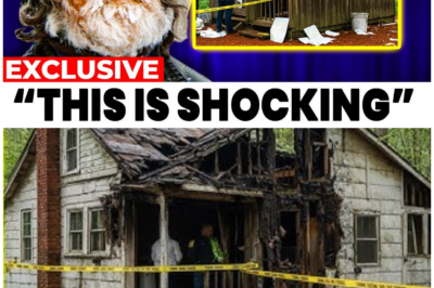 🦊BREAKING FROM THE WILDERNESS: “MOUNTAIN MEN” ICON MARTY MEIEROTTO’S TRAPLINE HUT REVEALS A HEARTBREAKING DISCOVERY THAT LEFT SEARCHERS SILENT 😱