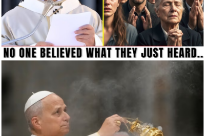 🦊MILLIONS MOURN AND LISTEN CLOSELY: POPE LEO XIV’S CHRISTMAS WARNING SHAKES THE FAITHFUL—AVOID THESE 5 DECORATIONS OR “INVITE DARKNESS” 😱